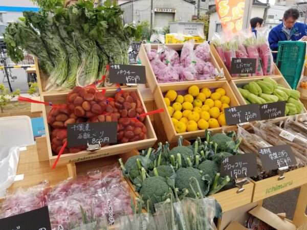 11月9日（土）開催します