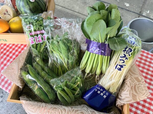 5月24日（土）開催します