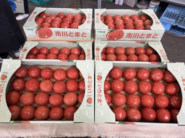 6月28日（土）開催します