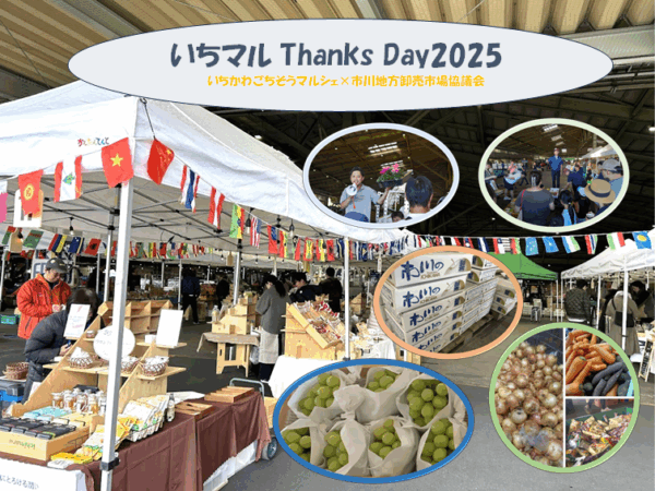 9月13日（土）開催します