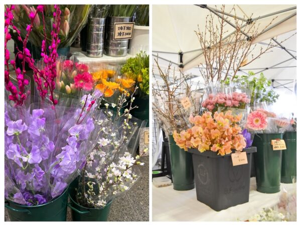 1月24日（土）開催します