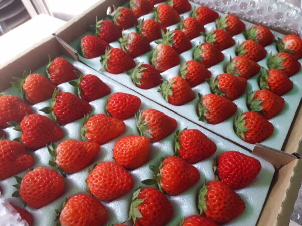 2月28日（土）開催します