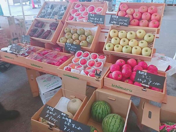 7月11日（土）開催します。