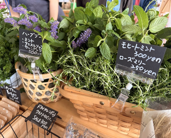 7月25日（土）開催します。